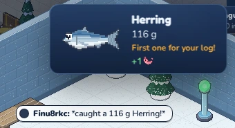 A catch card: the fish, its weight and its Krill.