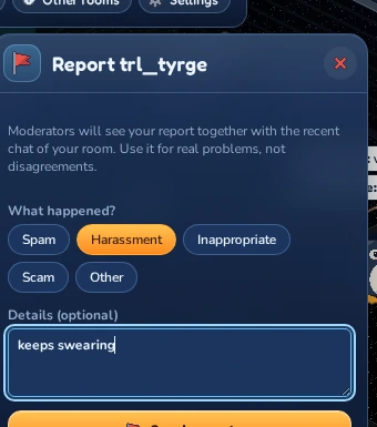 The report window.